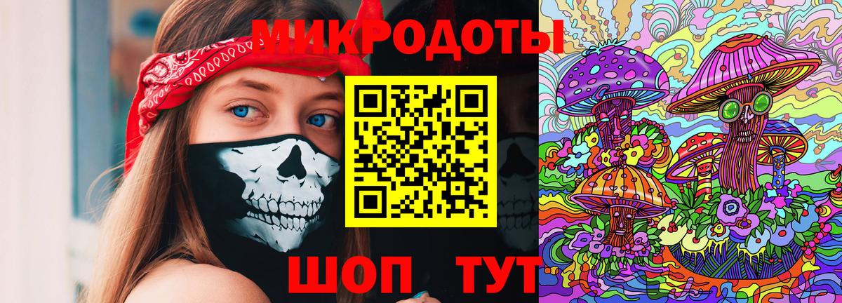Луга  Галлюциногенные грибы Psilocybine cubensis  Вход с VPN 